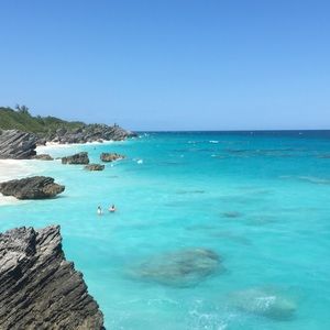 Meet your Posher, Heidi